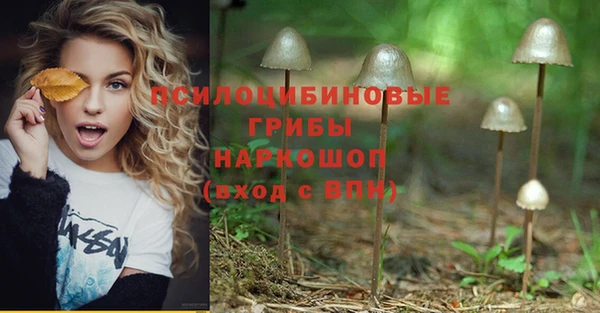 соль ск Алексеевка