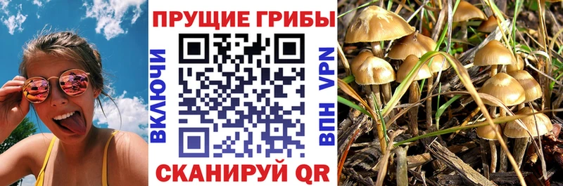 как найти наркотики  кракен tor  Псилоцибиновые грибы GOLDEN TEACHER  Лебедянь 