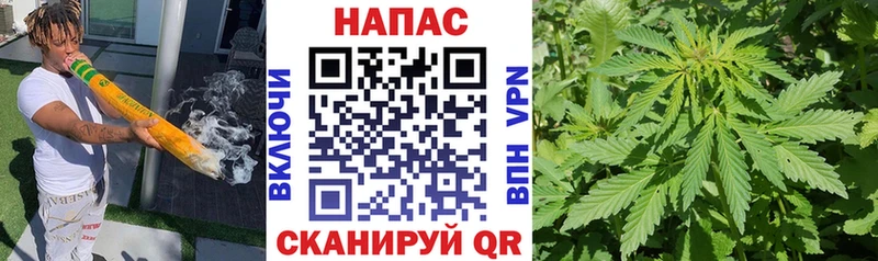 Бошки Шишки марихуана  ОМГ ОМГ ТОР  Лебедянь 