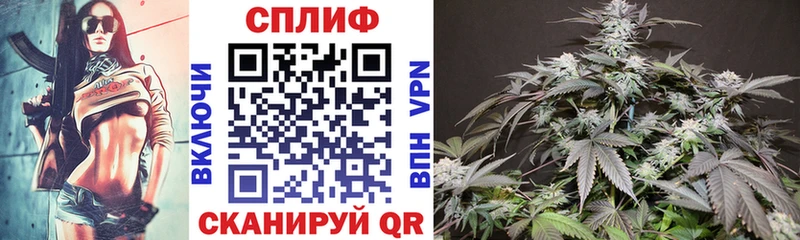 МАРИХУАНА OG Kush Лебедянь